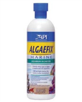 41hpicPBGeL._SY355_.jpg