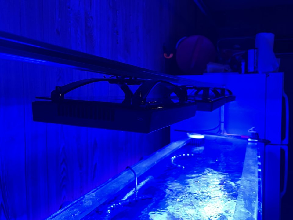 431497EA-B580-4C52-A15B-FE36D0B19E7E.jpeg