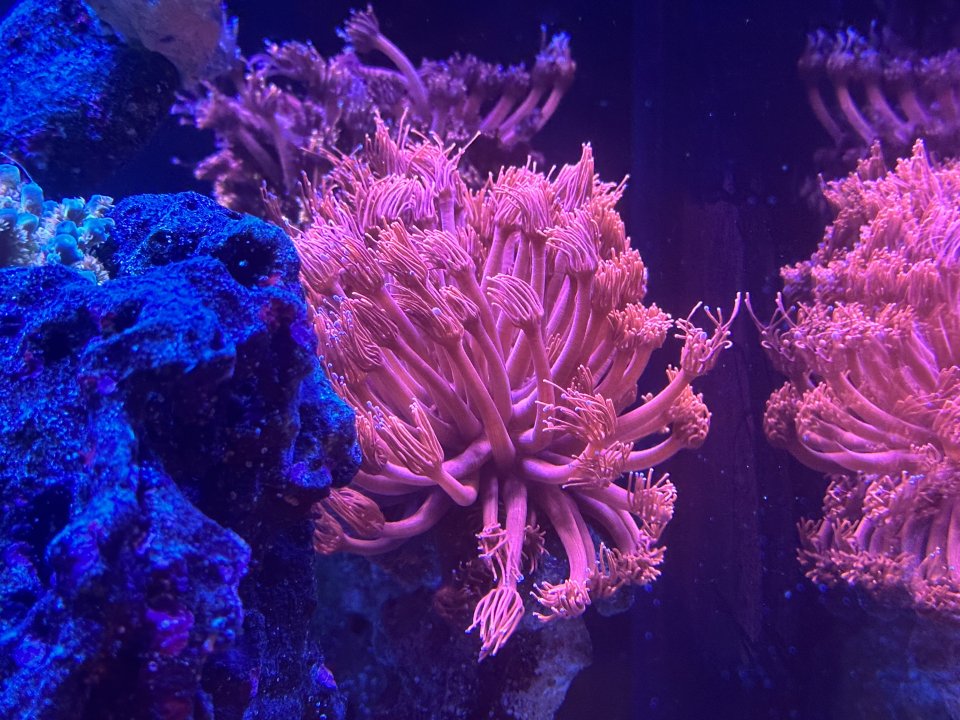 43C84E10-7186-4F58-A0F9-1A24B0794E21.jpeg