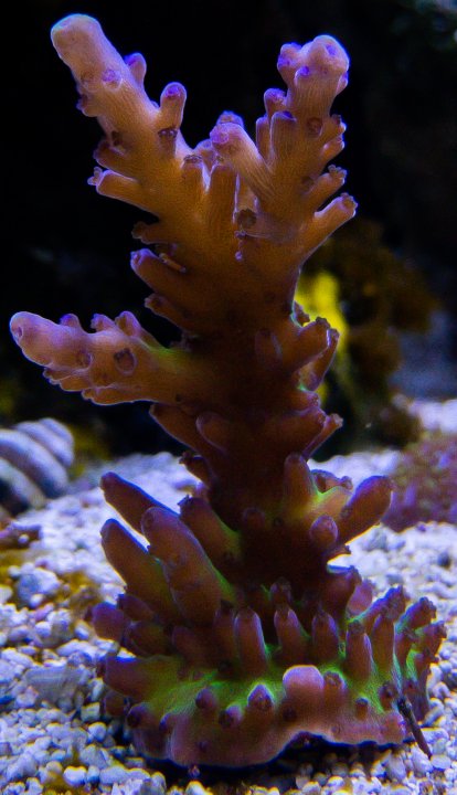46356015-BB96-4322-AD88-A33E0EA4E471.jpeg