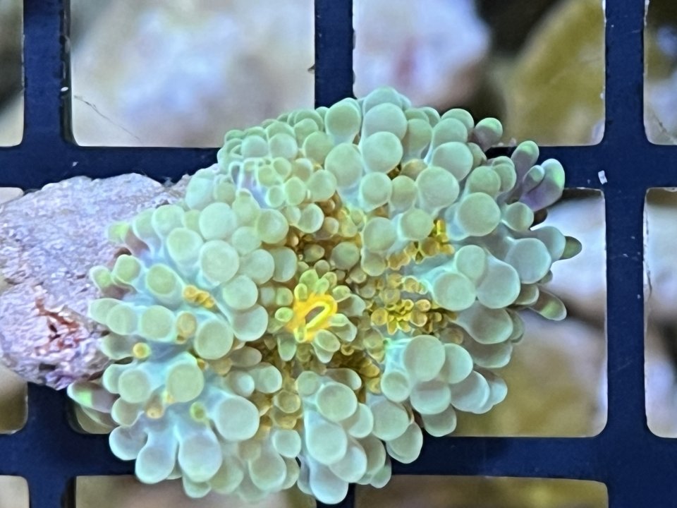 47DBBF00-14E9-4578-8F58-545077355D6A.jpeg