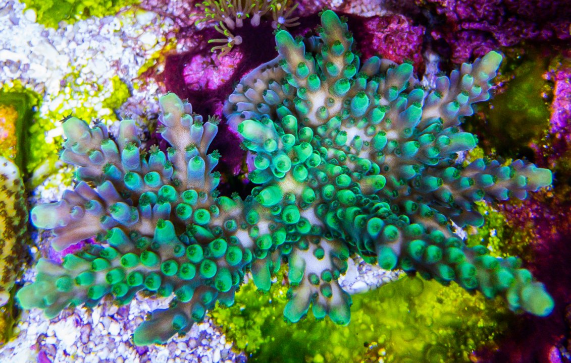 48205561-752E-4F59-A674-1B4FA072819A.jpeg