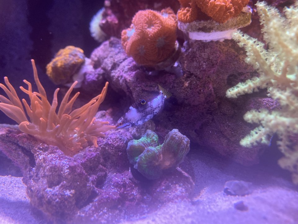 4A64101E-6520-4554-AC3A-A805CF0E010E.jpeg