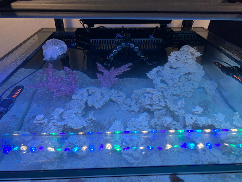 4D3EFC3F-3D09-4DBE-A007-446B9BCEB4C2.jpg