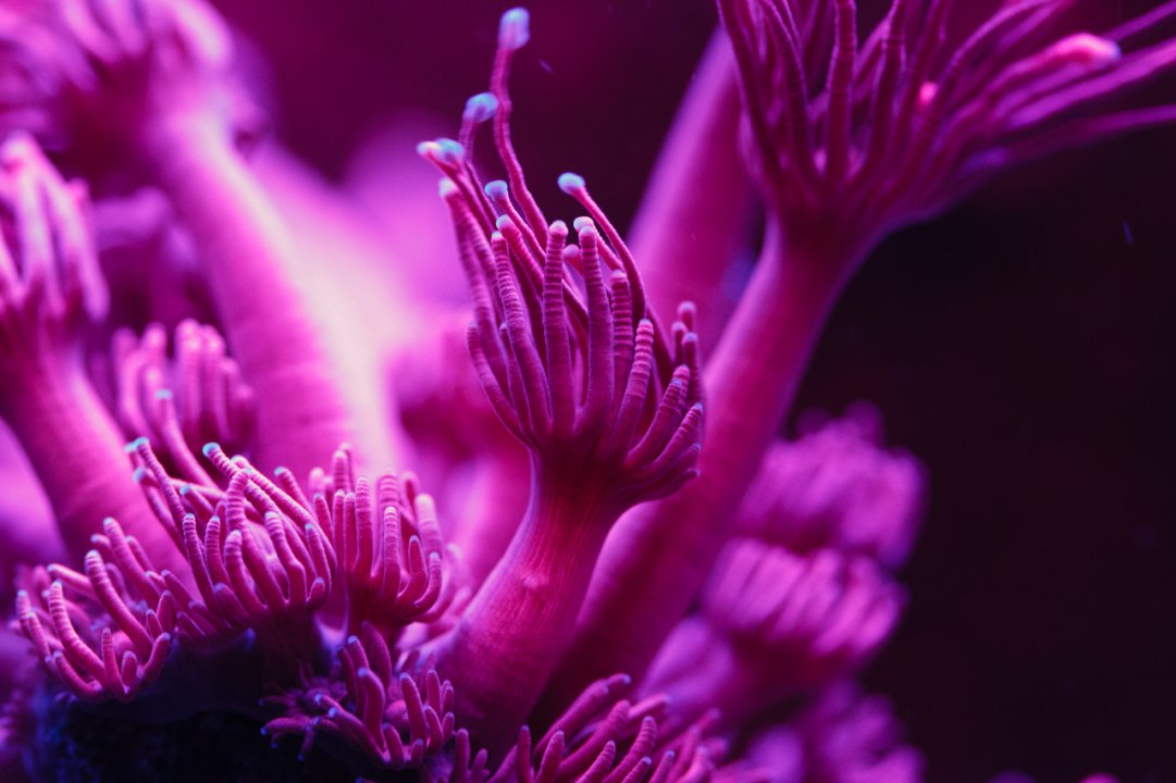 4E094A7B-D735-4421-AF76-9EBFE2D49833.jpeg