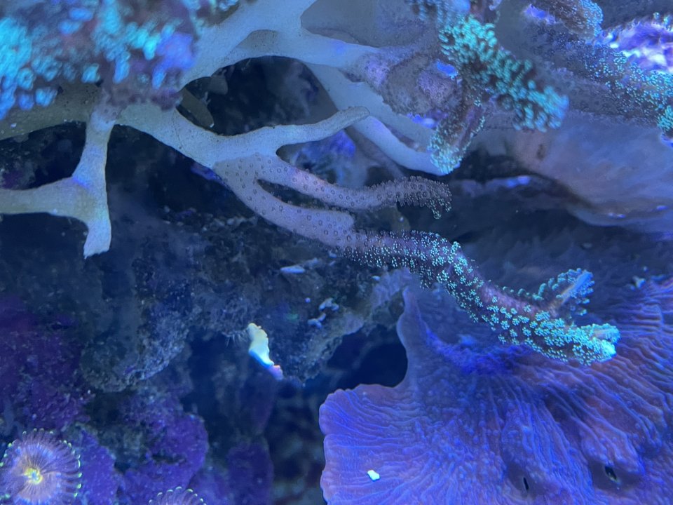 51F023B7-680A-47F2-9956-F3DA8DC5E142.jpeg