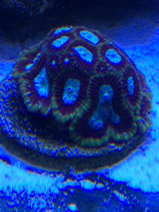 522761F9-5633-4161-84B9-6C6AB2F91DFD.png
