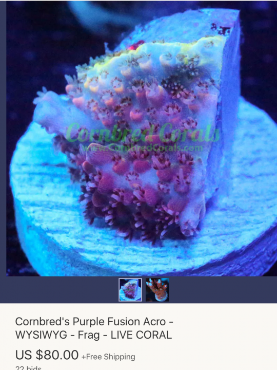 55580CF8-C38F-45B4-99E5-E87A993230AD.png