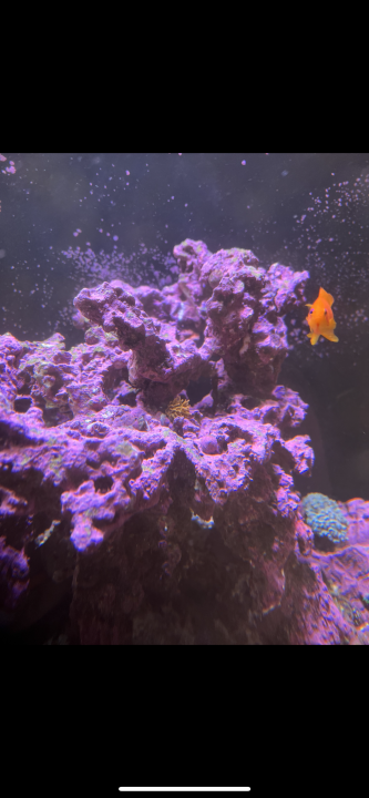 577E0743-A891-4FA3-995A-F0ECD5C846AD.png
