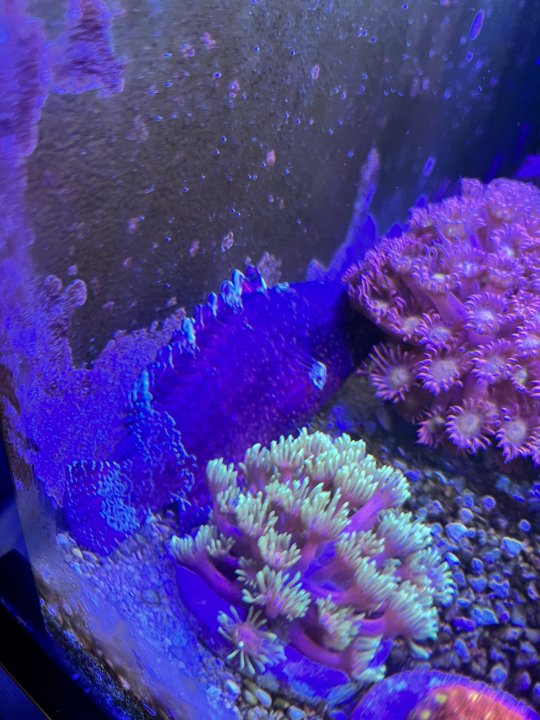 5D0B303D-B2E9-48D0-B8FB-0DC06B2E0D8C.jpeg