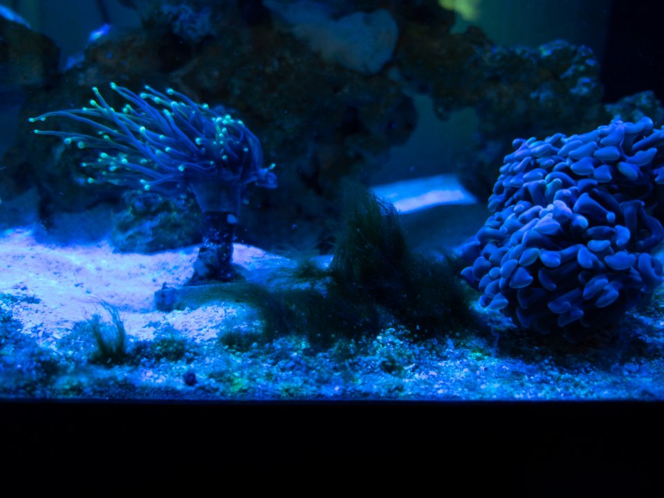 5D38BDF7-7460-4A89-9E25-079662F737DF.jpeg