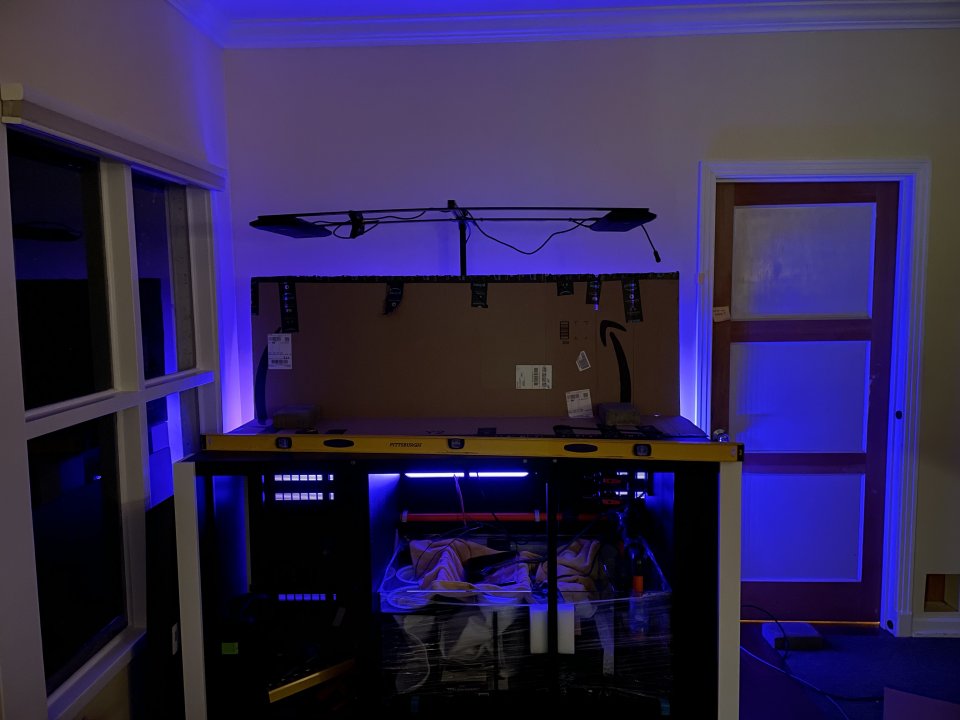 6 in backlight.jpg