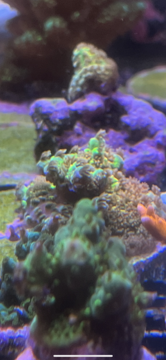 655E992E-DA33-4E01-AC94-FBAF42305EA4.png