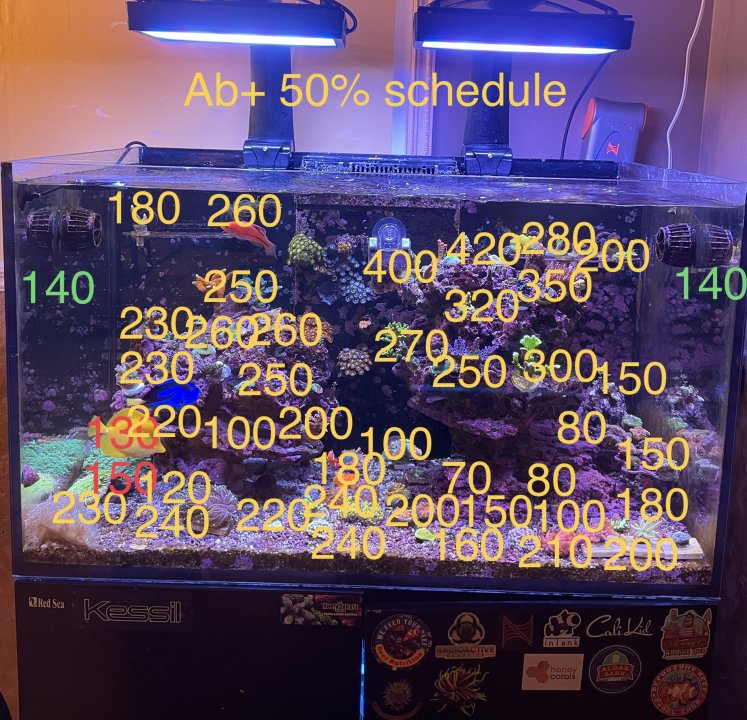 65C28B74-E8AF-4C71-9570-5C9D4B62DE05.jpeg
