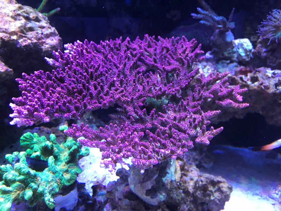 663ECD27-D216-4058-9454-13F525178959.jpeg