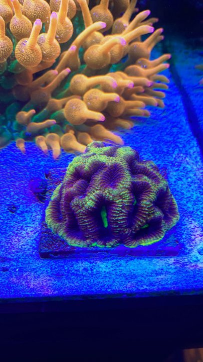686ED20C-B3E8-4B03-AAD9-86381664AF8B.jpeg
