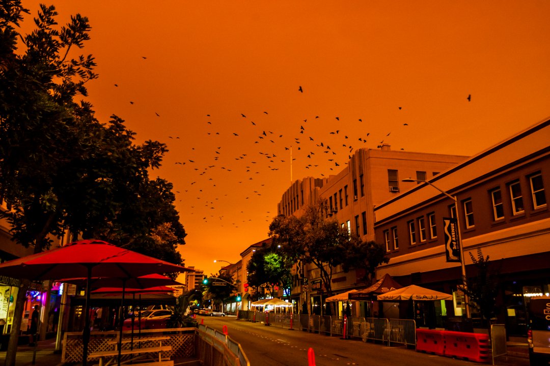6B014509-8B97-4C17-A1E0-F586449C9707.jpeg