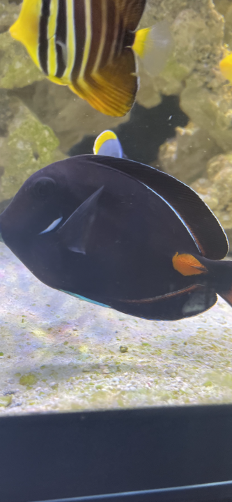 6C5DB2B9-B0EC-40C5-9147-89FA09030F44.png