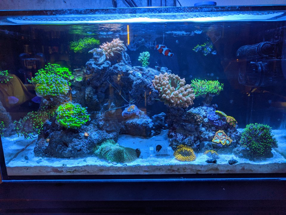 7-15-20.jpg