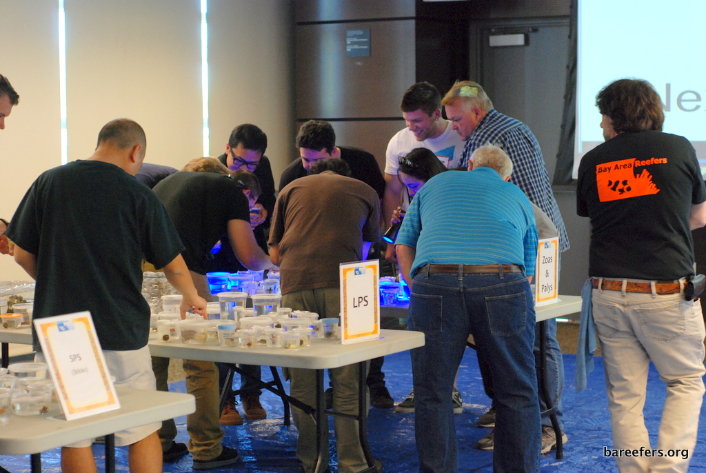7-DSC_2497.JPG