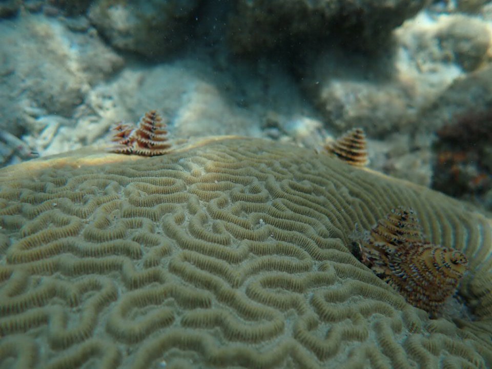 700B208D-A654-4C25-995A-B0E7616A516B.jpeg