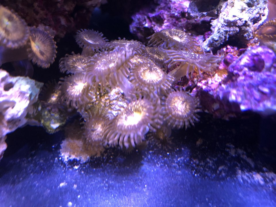 75D5A049-F3A6-44F9-A305-4D04EC026FF1.jpeg