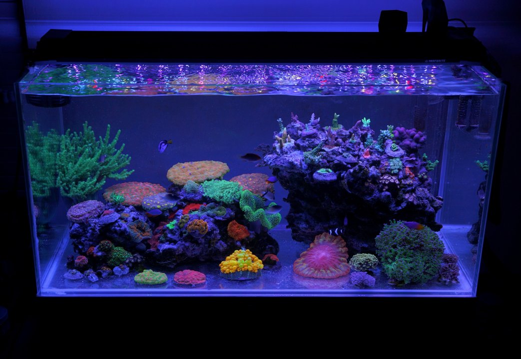 777_cr.jpg