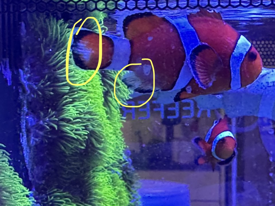 77C033C5-07E6-490E-9A61-2219E577275B.jpeg