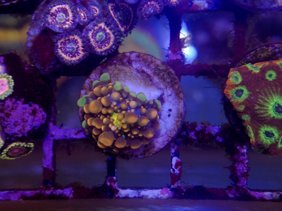 790BA5AF-8220-4C3E-A465-D04C02062F0F.jpeg