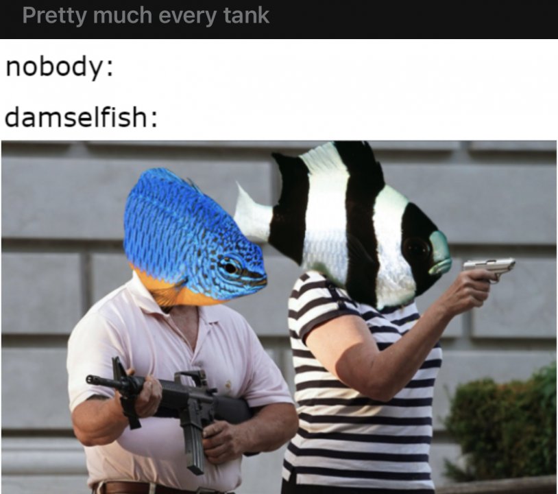 7A7DD87F-DED8-4761-9185-EA06D7DA888B.jpeg