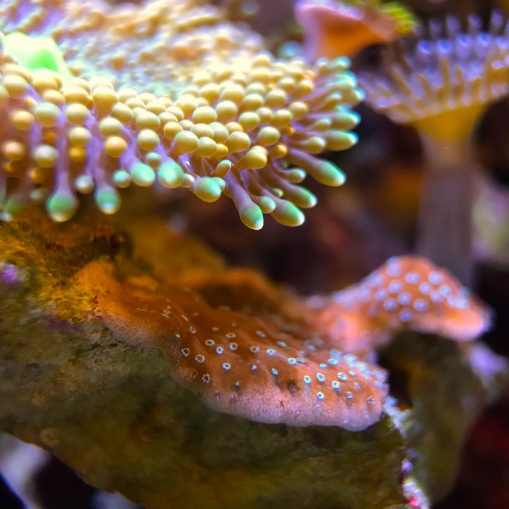 7B2E8437-5643-45DA-BA58-39FCCBED7810.jpeg