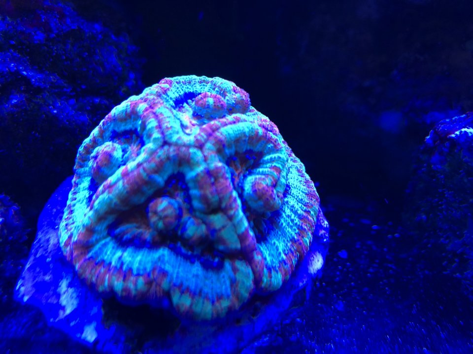 7C602080-F61B-446E-842E-F185A58EC3C5.jpeg