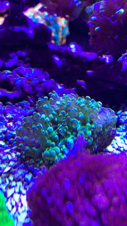 7CEA12ED-EF92-4E8E-BC63-F792E09DC563.jpeg
