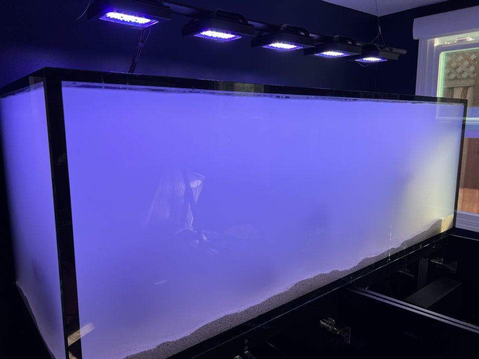 80F76499-8058-43F4-BD2D-2AF50B0858B1.jpeg