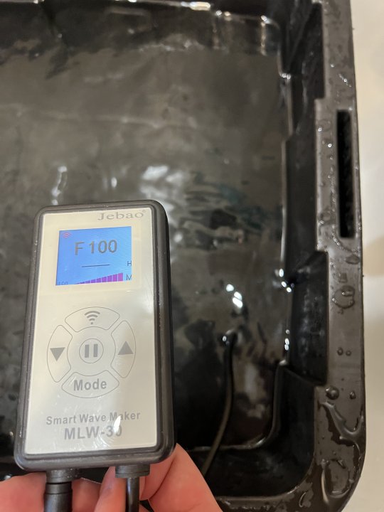 83694DDA-B085-433E-988C-26E63B35AA6D.jpeg