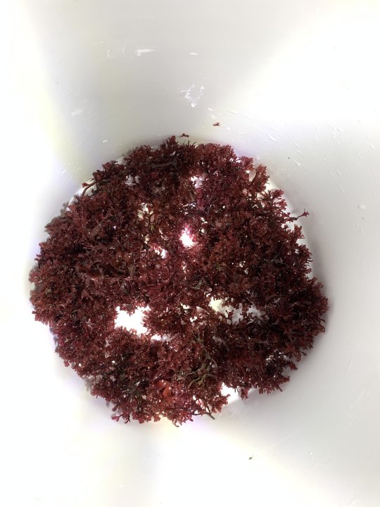 8C34C027-B0E9-4ADE-AE02-A322BEFD446F.jpeg