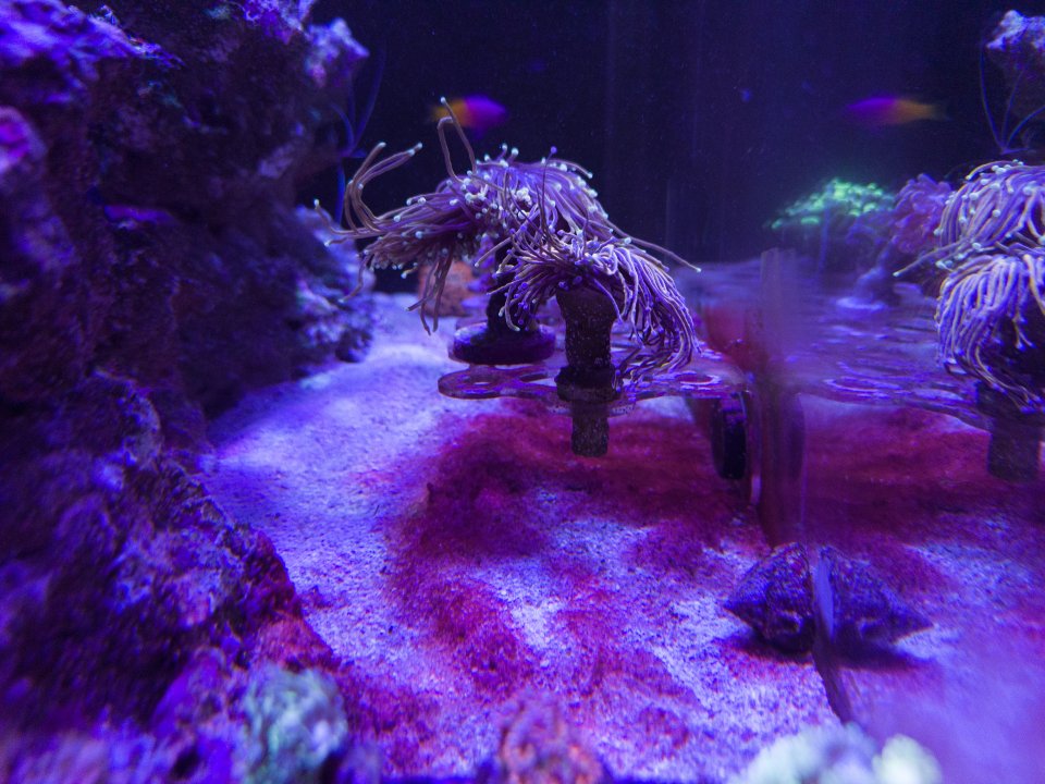 91740608-4D6E-493C-8B81-3B00B85AB345.jpeg