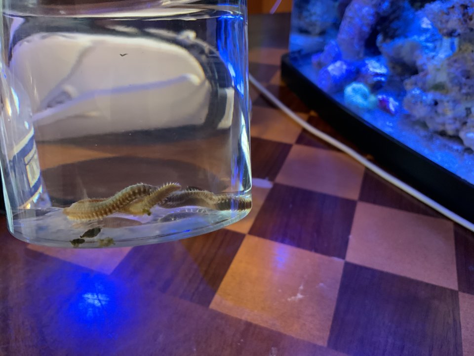 9200D18D-0433-47AE-BEB4-1989653E1C99.jpeg