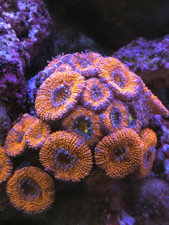 957188C5-8FC4-40F8-A419-AD77C636D72F.jpeg
