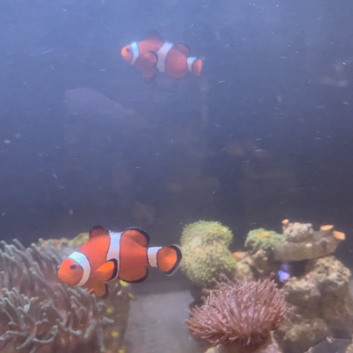 9C308E88-3D0D-4246-A85B-11F1F644EF3C.jpeg