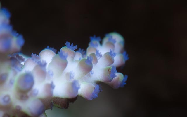 _1CN3681.jpg
