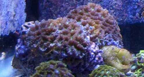 _3152097.jpg