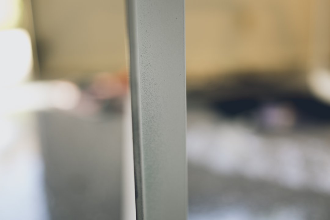 _DSC3385.jpg
