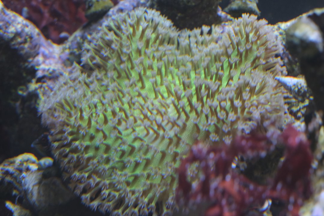 _DSF4734.JPG