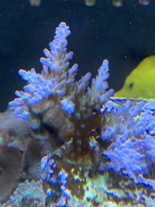 A0C068E6-C930-4F6D-A079-09A253230F62.jpeg