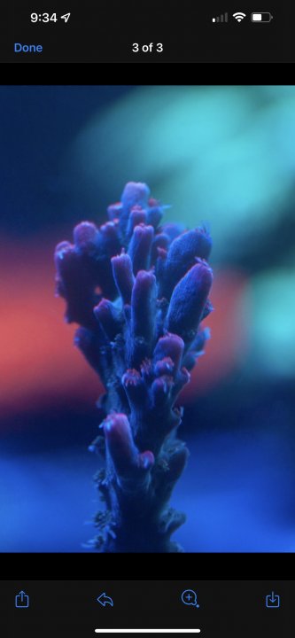 A19C2C76-E465-4FD7-AB84-814CCFA41B75.jpeg