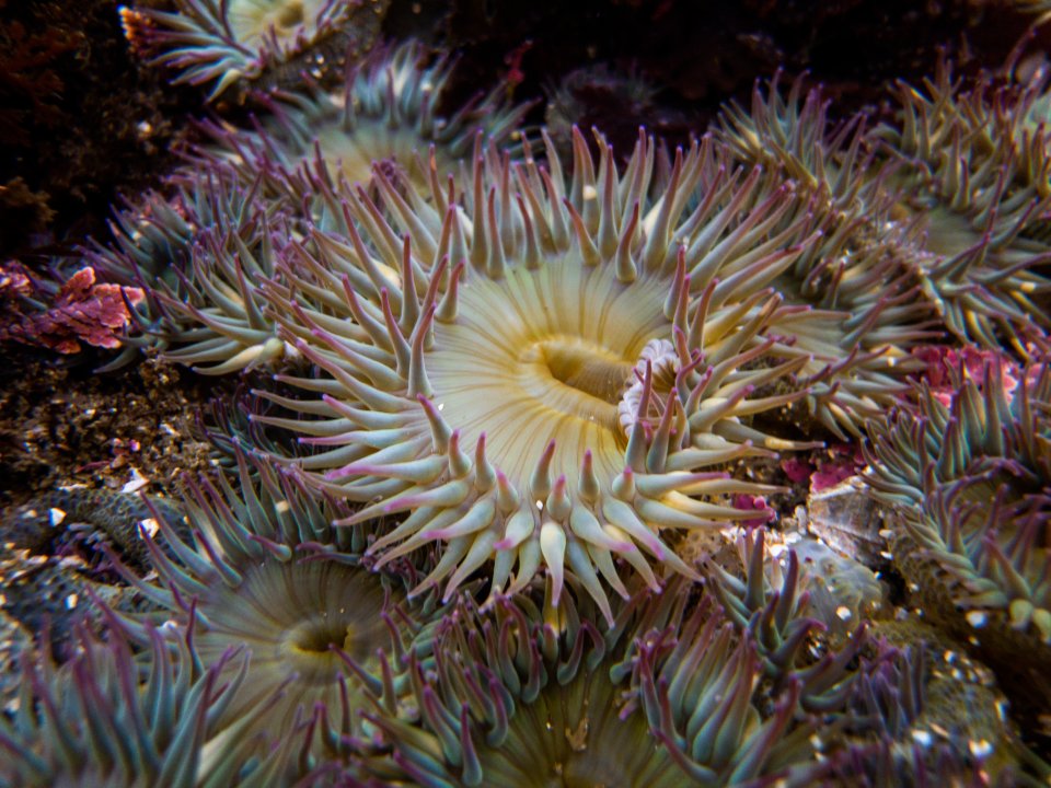 A6C2B688-3CA5-4CCC-AECE-E4749A479948.jpeg