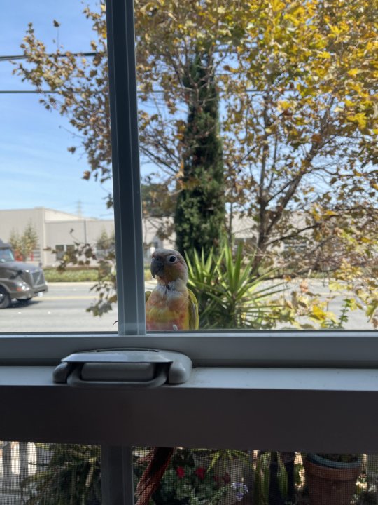 AB01B824-8CB7-461B-BF08-F74690E54284.jpeg