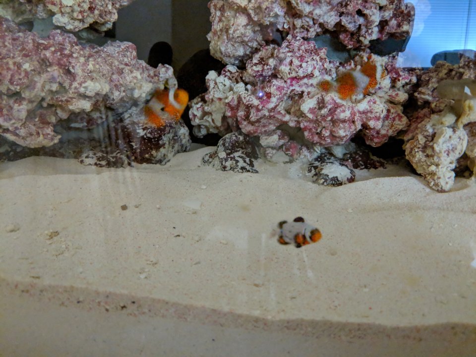 AEE434FE-1BFC-4E37-8712-5412461E3495.jpeg