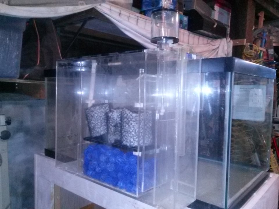 Aquarium FS 001.jpg